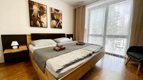Black Lotus I I Downtown Apartment l Free Parking l 24hr Access