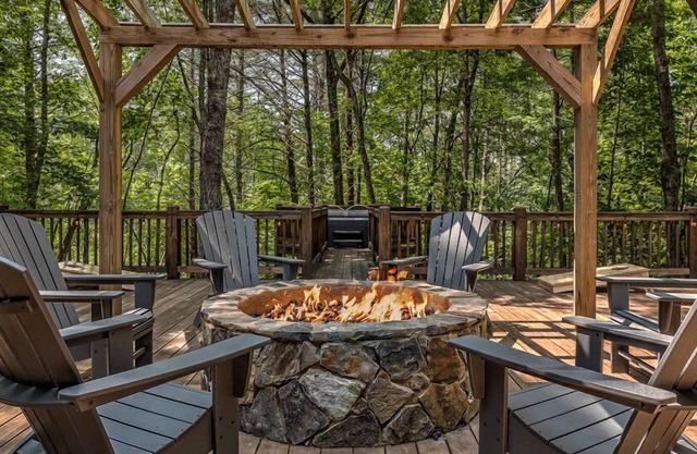 Blue Ridge Cabin, Pets, Hot Tub, Fire Pit, 7 Acres