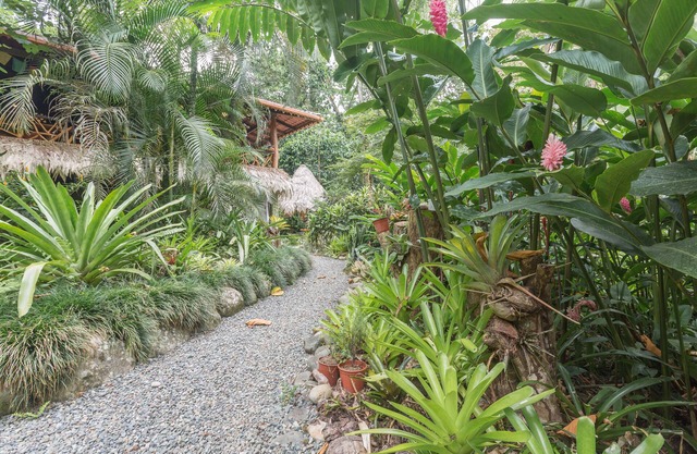 Book now! Free EGGS! Also pool, 300m to beach and great gardens!