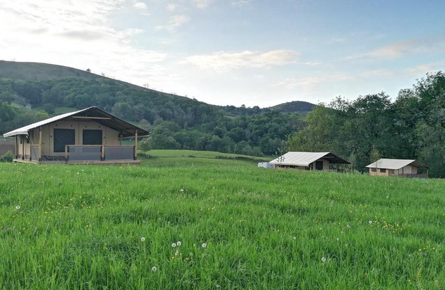 Borda Lodge