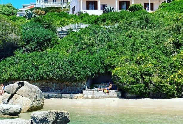 Bosky Dell on Boulders Beach