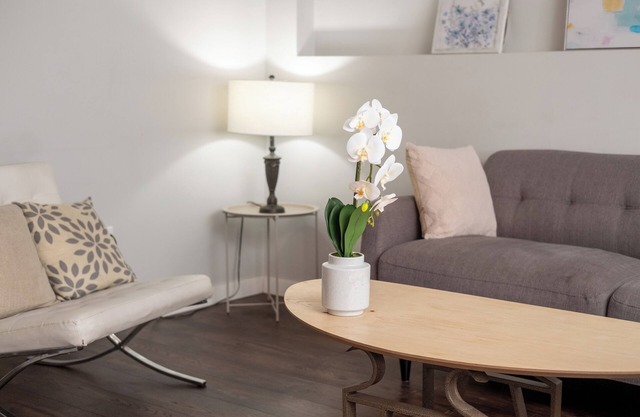Bow River Haven: 3-Bed Basement Suite