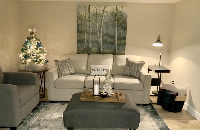 BRAND NEW LOWER LEVEL APARTMENT-CENTRAL TO EVERYTHING