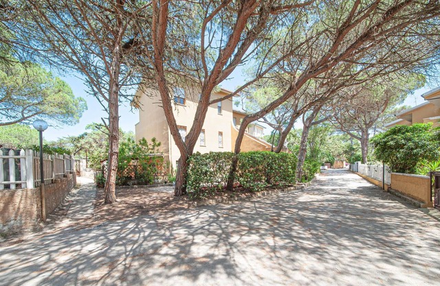 Bright apartment with shared outdoor pool, just a few steps from the sandy beach.