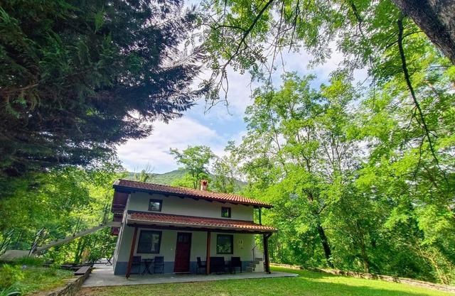 Britof Forest House in Chestnut Valley