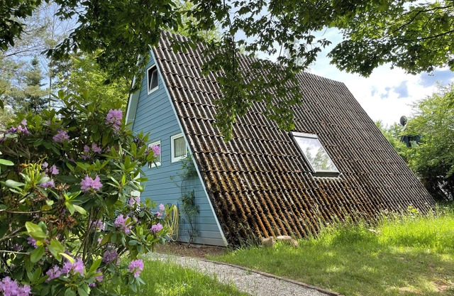 Bude 101 - Dream house in the middle of the Palatinate Forest