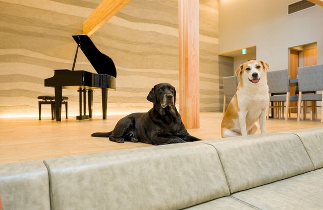 Building A Pets allowed SuiteWith pool terrace and sauna/Kamogawa City Chiba
