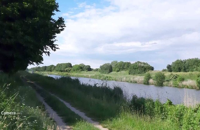 Bungalow directly on the Elbe-Lübeck Canal with a large natural plot