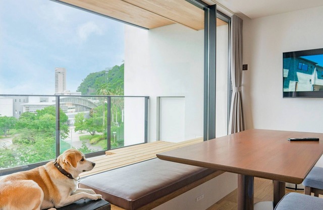 Bunk bed RoomDog fliendly1offsite parking lot/Atami Shizuoka