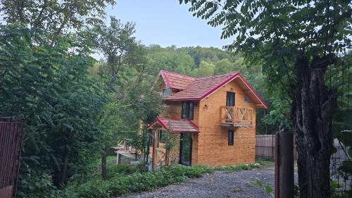 CABANA panoramică din Maluri