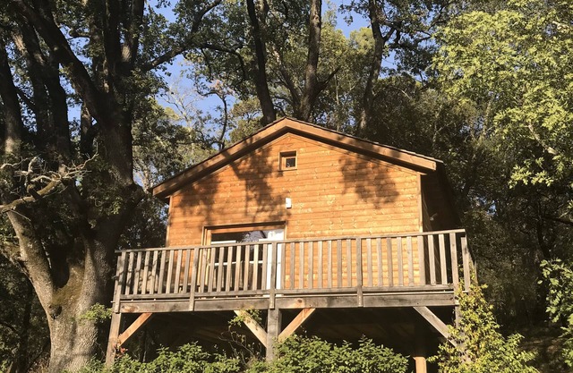 Cabane Dans les Arbres, au Coeur D'un Vignoble Provençal