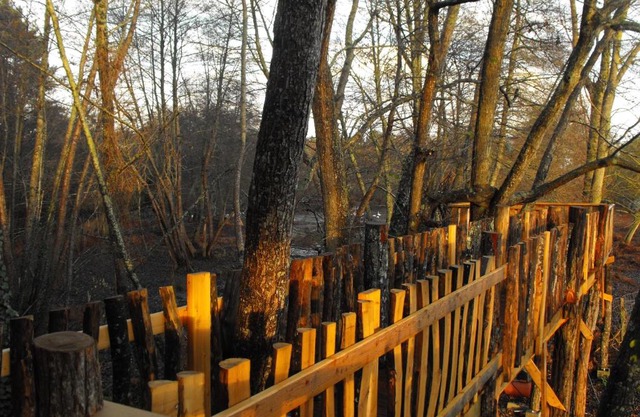 Cabane des cerfs