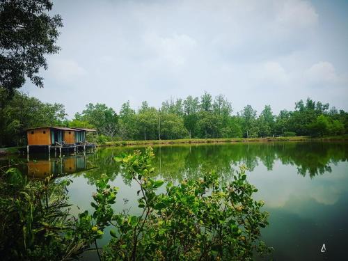 Calm at Bangphat