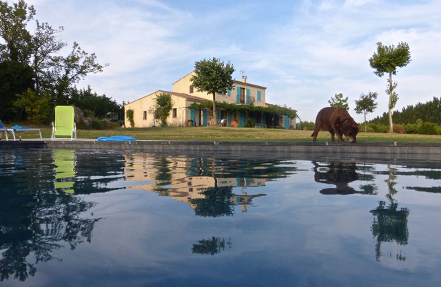 calm Mas Camargue, spectacular view, swimming pool 15m x 5m