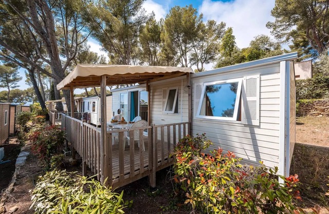 Campsite Parc des Roches * - Mobil-home Premium Azure 4 rooms 6 people