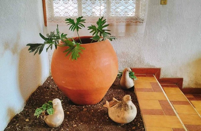 Casa Olvera 3 km from downtown San Cristobal! Ideal for families