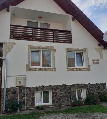 Casa de vacanta Alina Transfagarasan