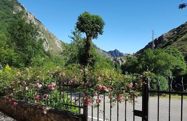 Casa Modesta Apartments for 2 people