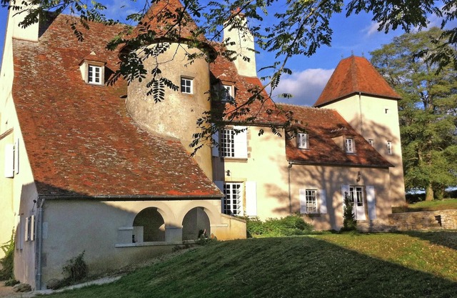 Castle in Le Veurdre near Forest and River