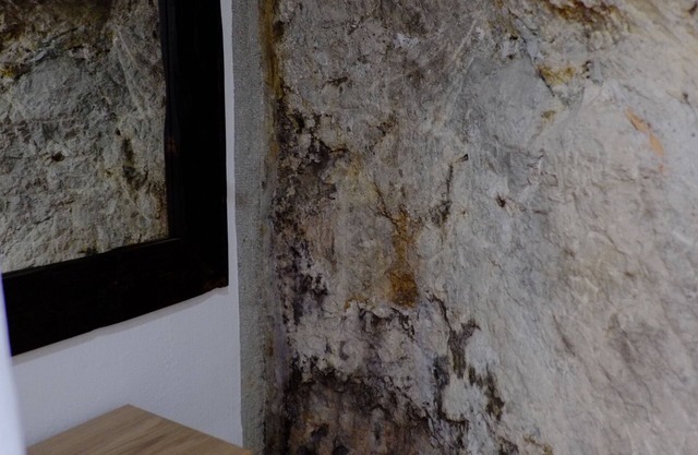 Central City Apartment Charming