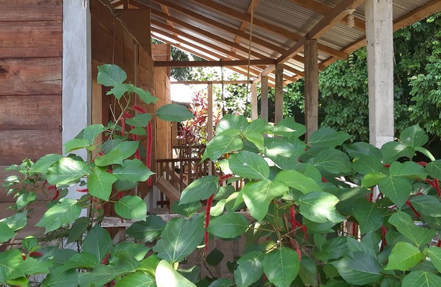 Centro Ecoturistico Yaajche