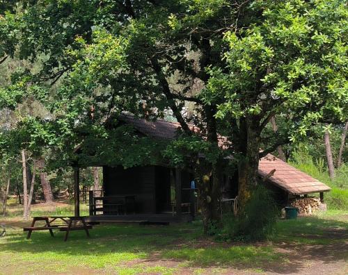 Chalet de l 'étang