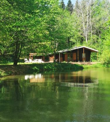 Chalet - gîte avec étang