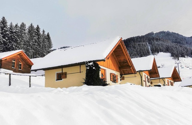 Chalet in Gaal by Ski Slopes & Alpine Park