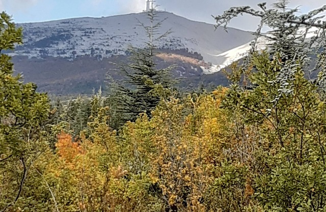 Chalet surrounded by nature 2.5 km from BEDOIN