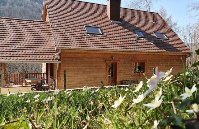 Chalet * surrounded by nature in the heart of Alsace Calm, comfort and authenticity