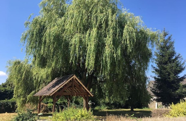 Charmant T2 au 1er dans résidence avec parc arboré