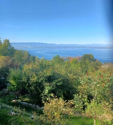 Charmante location Hauts d'Evian