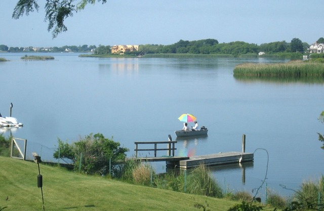 Charming 4 BR +2 waterfront-pool, privacy, views, gazebo, boats, near beaches