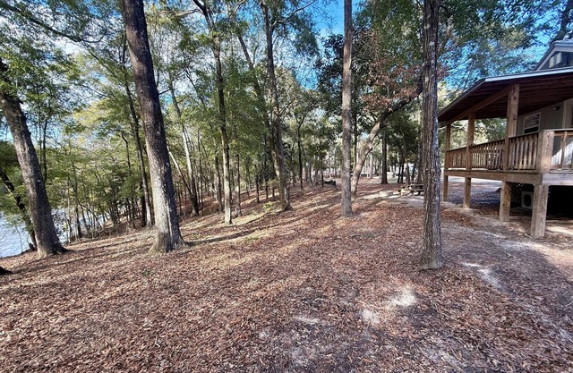 Charming cabin nestled in the woods in Andalusia, AL