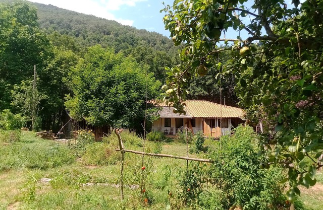 Charming cottage in the heart of the Ribera sacra