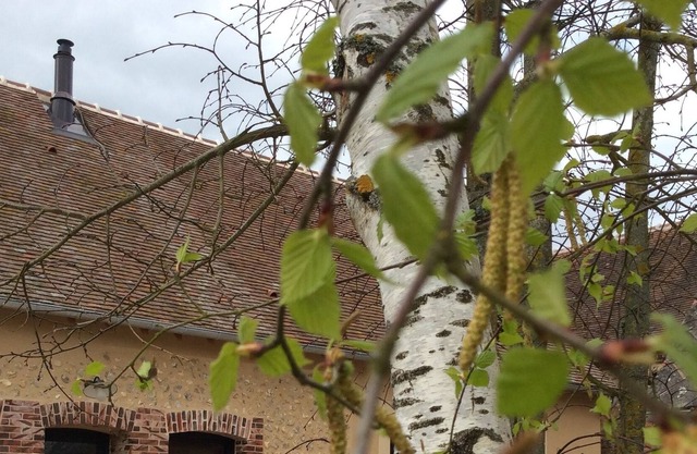 Charming cottage in the countryside 15 minutes from Chartres and its famous cathedral