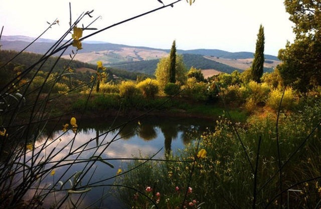 CHARMING FARMHOUSE BETWEEN VALLEYS AND THE MAGIC SENESE HILLS