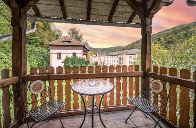 Charming historic apartment with billiard room
