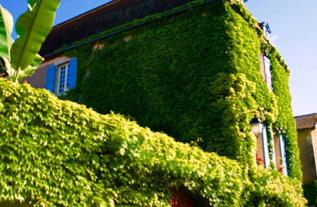 Charming house in the heart of Castelfranc