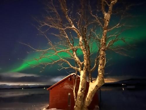 Charming place in Tromsø by the sea.