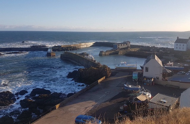 Charming refurbished cottage with sea view and lovely garden