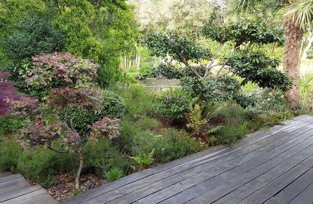 Charming studio in the heart of the pine forest