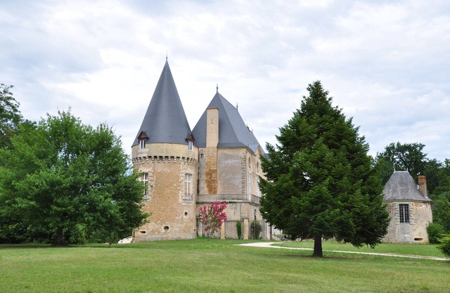 Château in the Dordogne, with swimming pool and spacious rooms for unforgettable moments