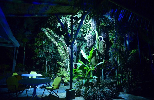 Complete house with lush vegetation, hot water Jacuzzi for 12 people