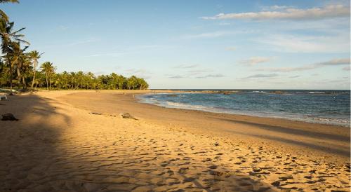 Comfort and Beach on the Bahia Coast