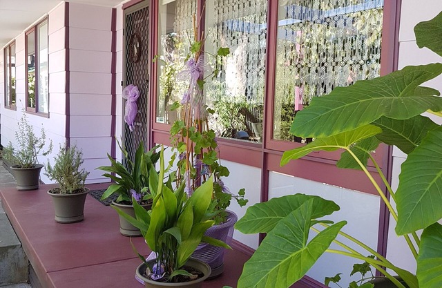Comfortable family/couples/business stay house in a quiet central location.