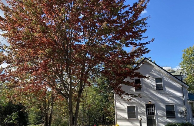 Comfy Home on 2+ acres just outside the White Mountains on the Connecticut River
