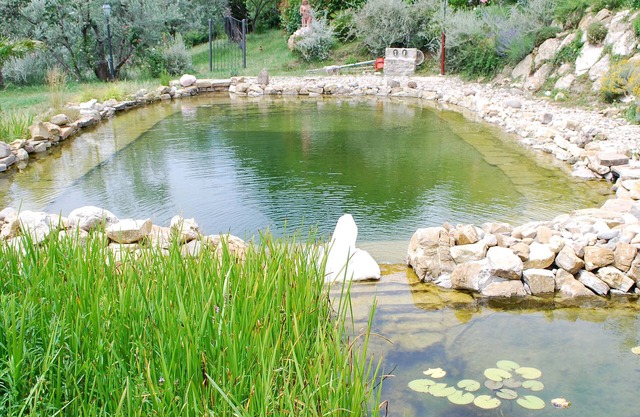 Convert your vacation into a highly regenerating life experience.