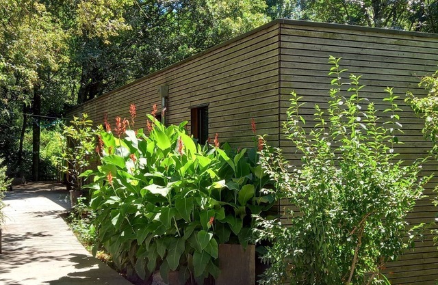 Cool under the trees and warm in the Nordic bath all year round