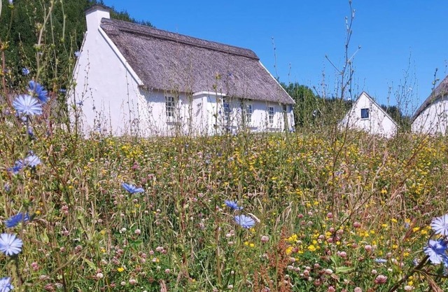 Corofin Lake Cottage No 2